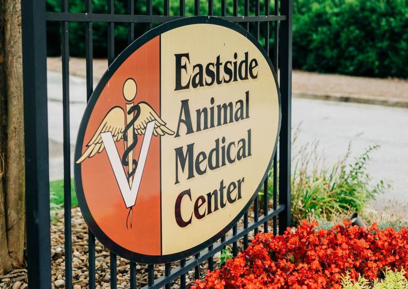 Carousel Slide 3: Learn more about us