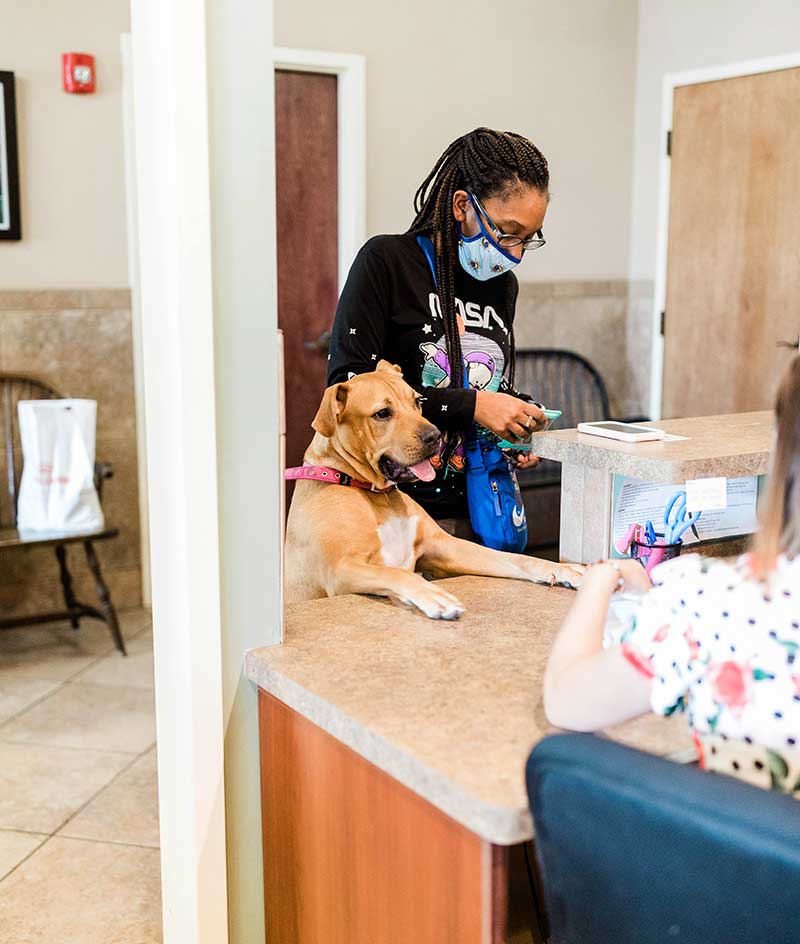 Eastside Animal Medical Center Payment Options
