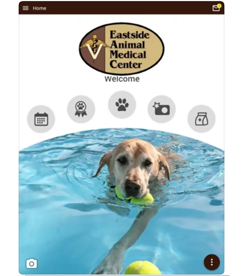 Eastside Animal Medical Center - Loyalty Stamps