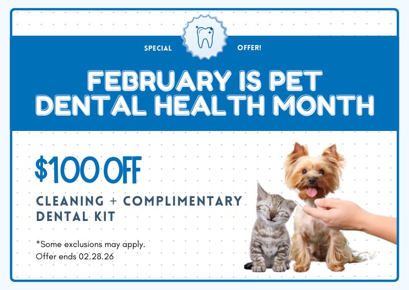 Carousel Slide 1: Call to schedule today or learn more here >