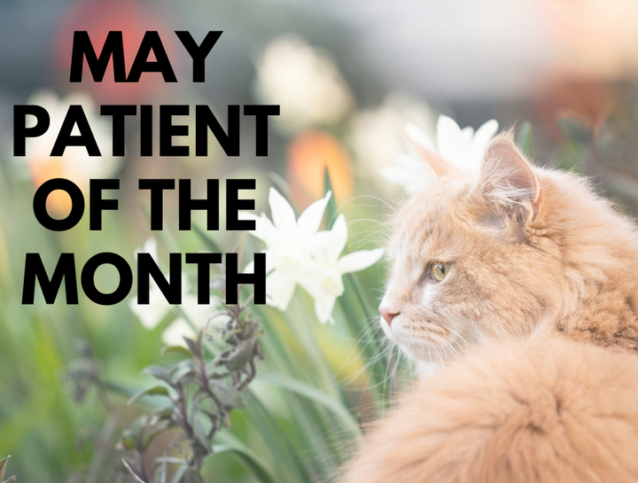Patient of the Month - May 2022