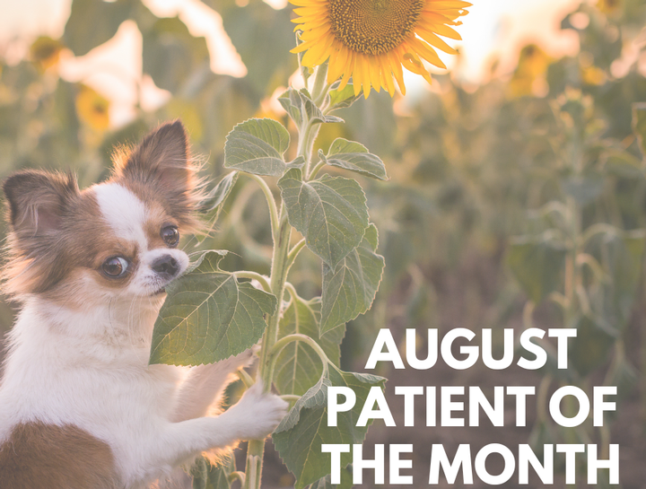 Patient of the Month - August 2022