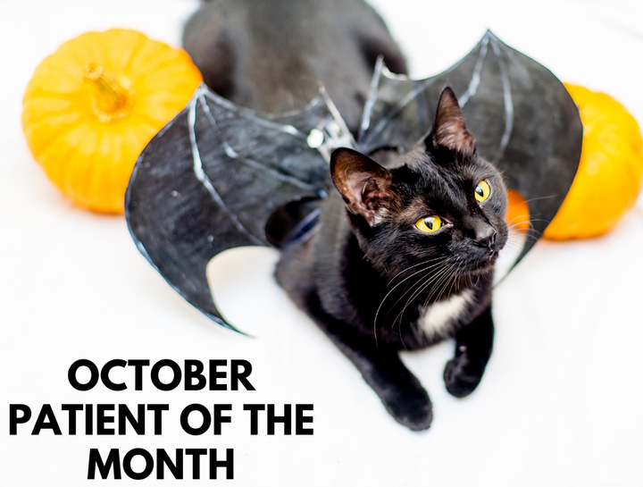 Patient of the Month - October 2023