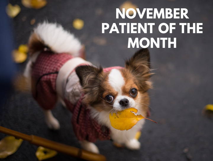 Patient of the Month - November 2023