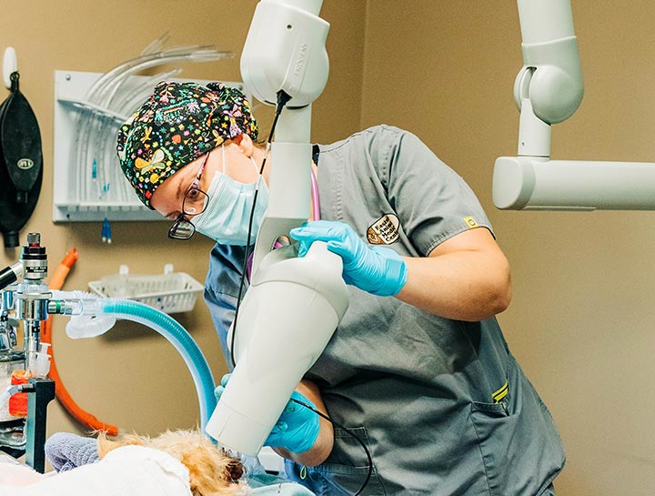 Digital Dental Radiology